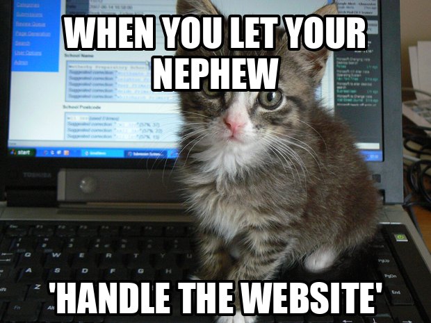 A kitten sitting on a laptop keyboard